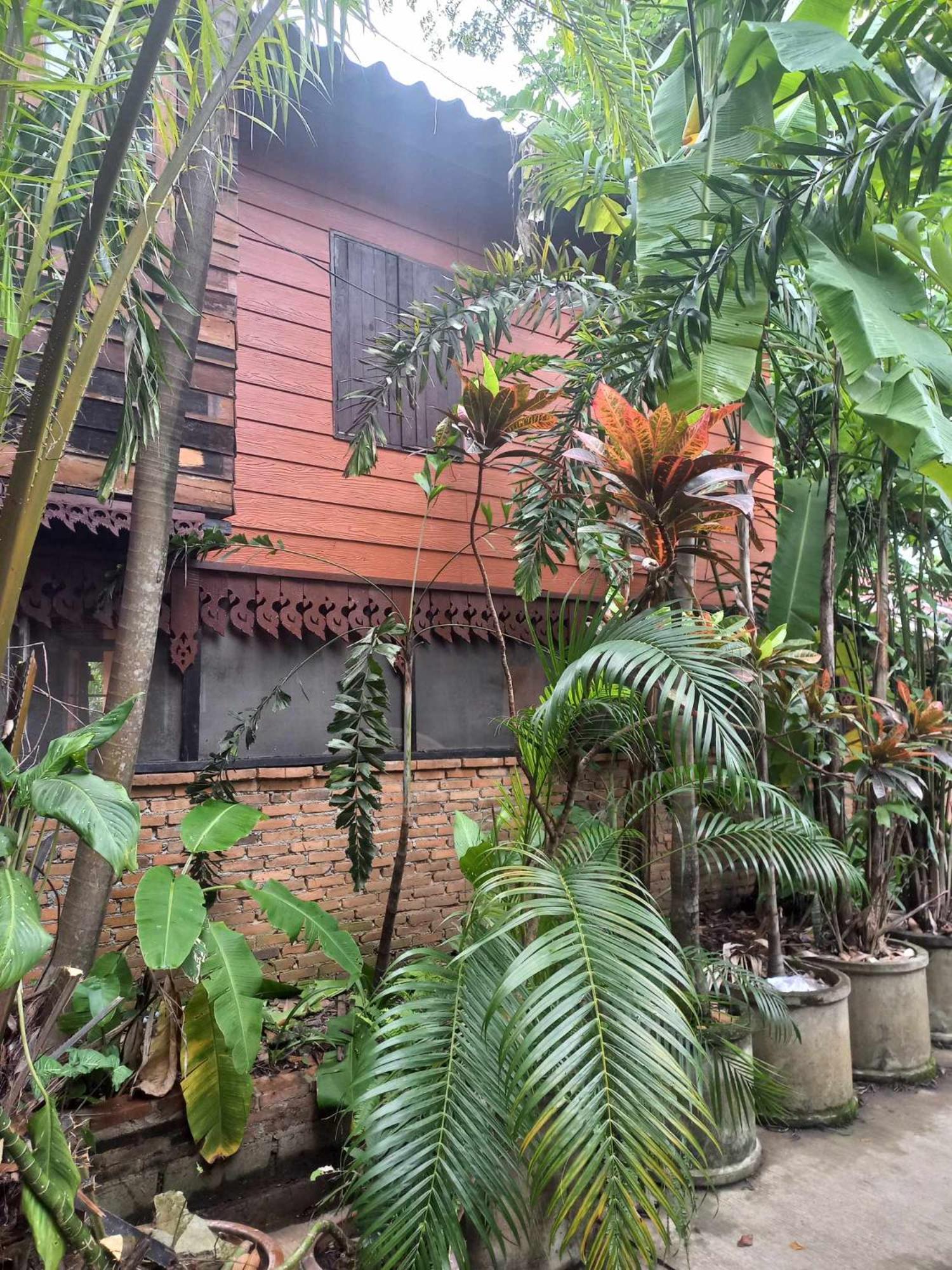 Teak House Chiang Mai Hotell Eksteriør bilde