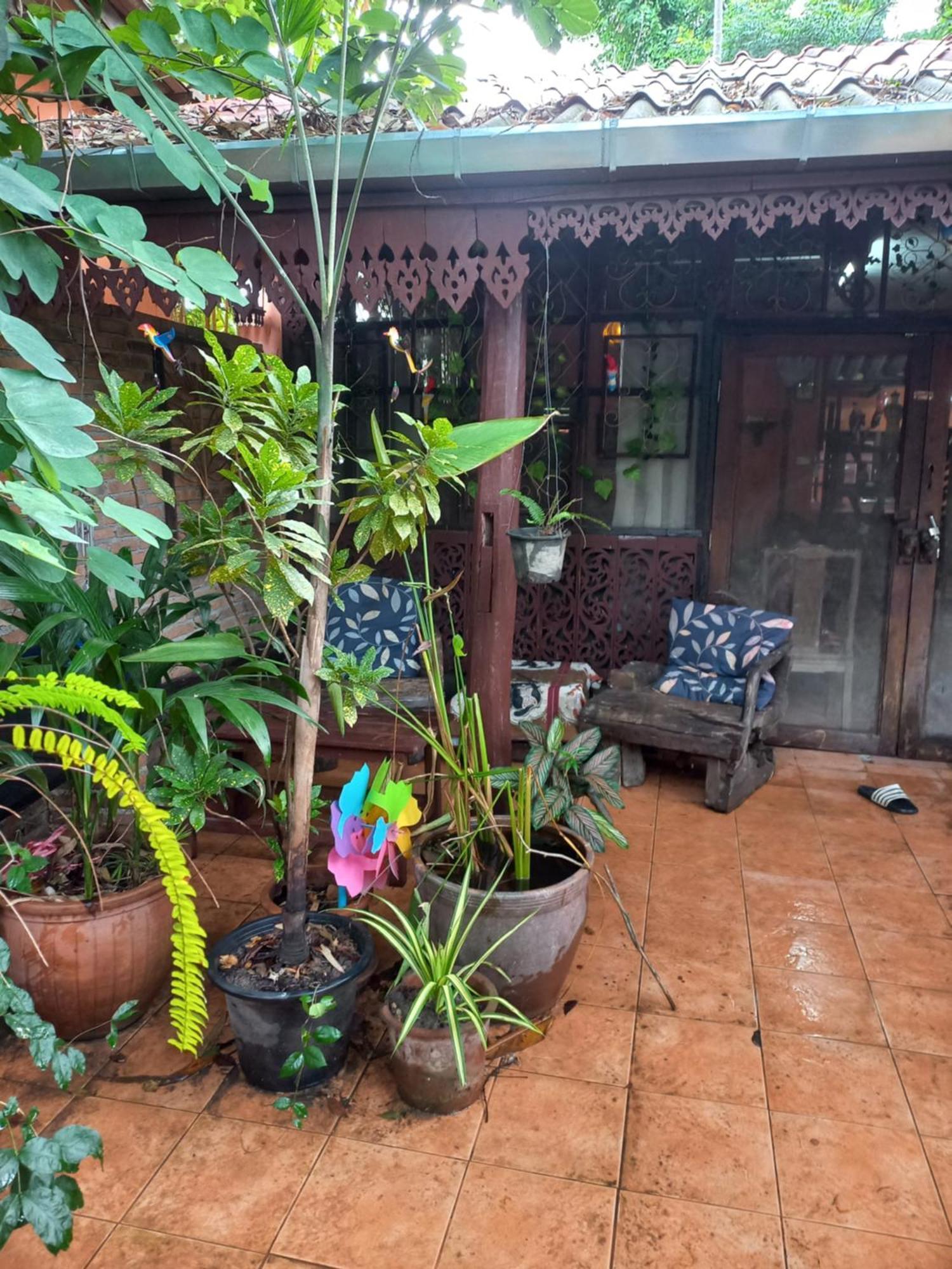 Teak House Chiang Mai Hotell Eksteriør bilde